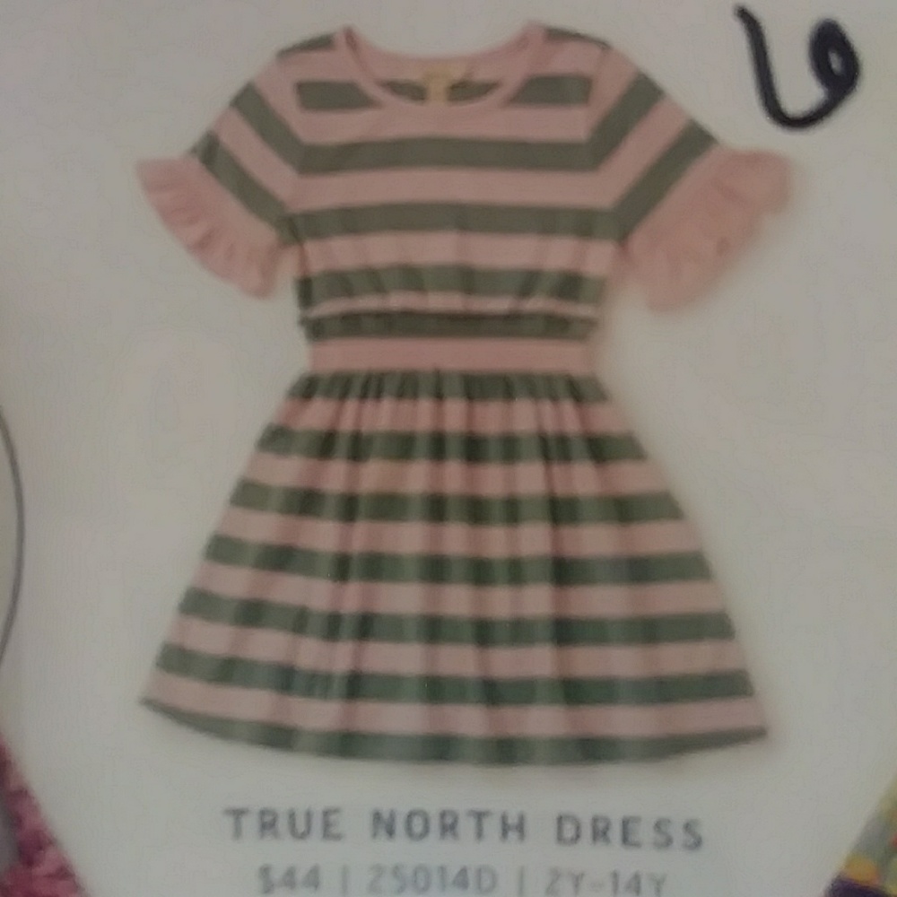 True north dress sz.6